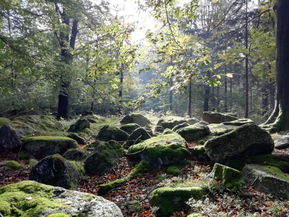 Hejnice Retreat Екстериор снимка